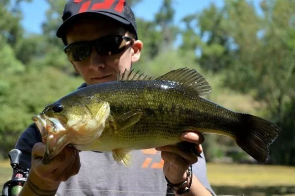 shakespeare ugly stik gx2 spincast rod combo Spinning and balance — perfect Size:100lbs DAIWA CERTATE HD LT4000-C Standard Rod Holder