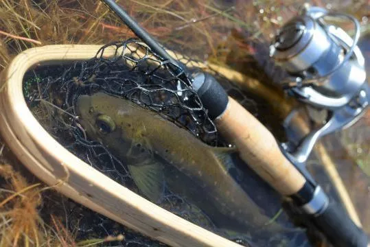 Choosing the right reel size for trout fishing Choosing the right reel size for trout fishing