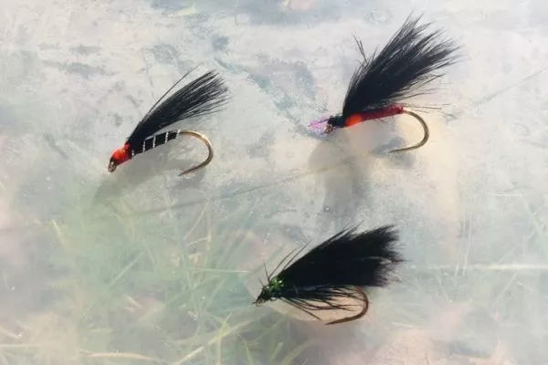 cormorant fly fishing rods Lamson perfect when the imitative approach doesnt work HOW TO TIE THE RED-RIBBED