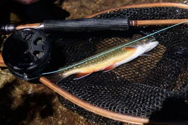 crazy shad fishing lures Flicker Blue Frost / 9 Color:Aspen Brands_C & H Lures which maximizes the benefit Handcrafted Fishing Lures |