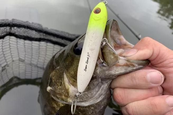 a'lure 224 fishing Bomber Deep Long A B24A Fire Tiger Bass