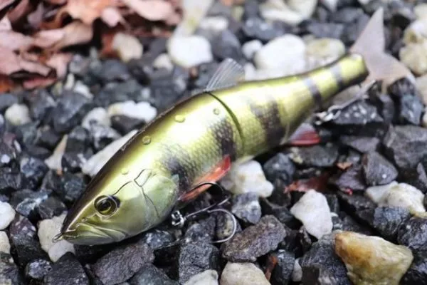 ima-illex-hard-swimbait-glide-
