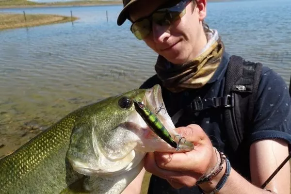 black lure man fishing Z-Man Jack Hammer Stealthblade Chatterbait Studio Composite Rat Man Wake