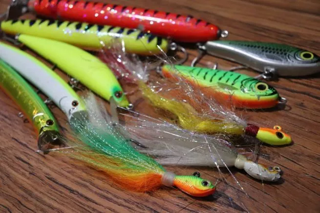 california fishing nets California to Phase Out Gillnet Fishing in State Waters