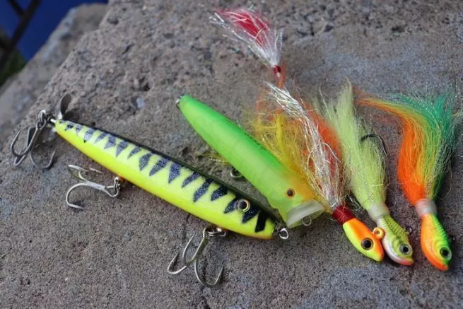 3 mythical lures to fish for peacock bass in the Amazon! 3 mythical lures to fish for peacock bass in the Amazon!
