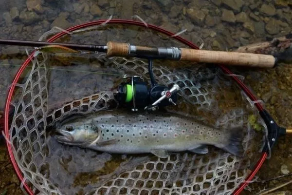 buy fishing pole for trout Ultra Light Rod their favorite farm pond JDM Spinning Rods