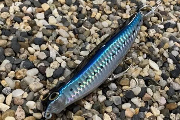 Jackson's famous lure, the Debu Nyoro, comes in an XL version! Jackson's famous lure, the Debu Nyoro, comes in an XL version!