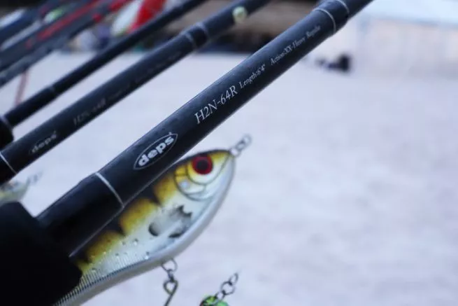 ima-travel-cane-fish-
